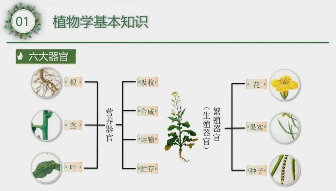 微信图片_20220426140816.jpg