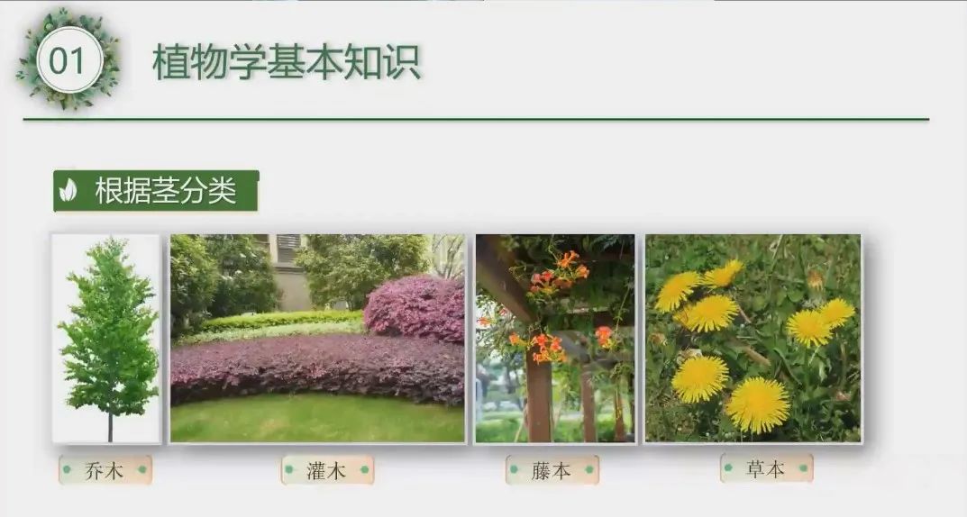 微信图片_20220426140819.jpg