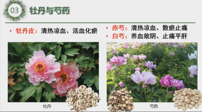 微信图片_20220426140822.png