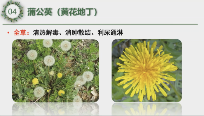 微信图片_20220426140824.png