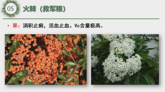 微信图片_20220426140827.png