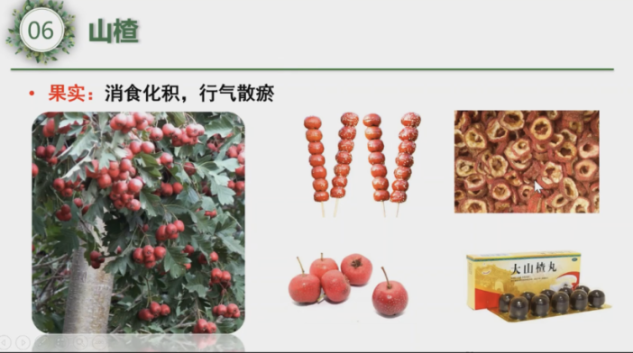 微信图片_20220426140858.png